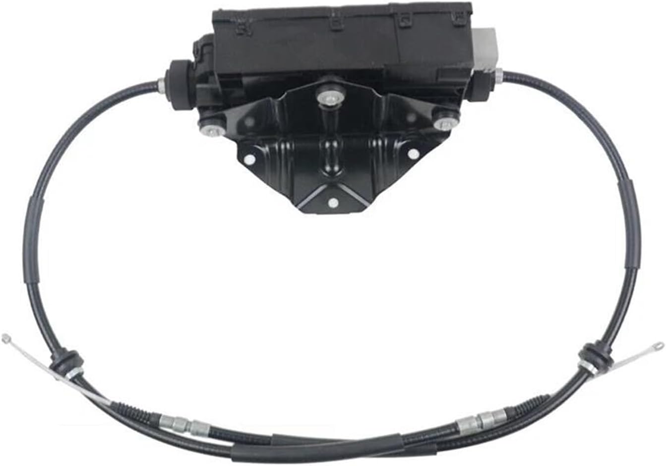 アマガエル Coleman Deluxe Sportster2 風邪付き きたかぜ コールマン